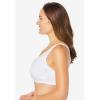 Comfort Choice Women’s Plus Size 3-Pack Cotton Wireless Bra(Basic Assorted)