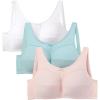 Pastel Assorted