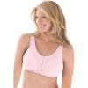 Shell Pink