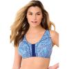 Sky Blue Zebra