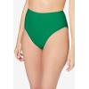 Comfort Choice Plus Size Hi-Cut Cotton Brief 5-Pack(Bright Pack)