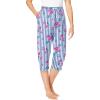 Dreams Women’s Plus Size Sleep Pants(French Blue Floral Stripe)