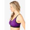 Amoureuse Women’s Plus Size Seamless Velvet Trim Support Bra(Fresh Berry)