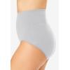 Comfort Choice Plus Size Cotton Spandex Comfort Waist Brief 2-Pack(Pink Pack)