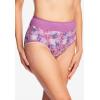 Comfort Choice Plus Size Full Coverage Stretch Cotton Color Block Brief 3-Pack(Plum Burst Assorted)