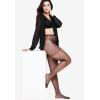 Comfort Choice Women’s Plus Size 2-Pack Sheer Tights(Suntan)