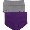 Comfort Choice Plus Size Cotton Spandex Comfort Waist Brief 2-Pack(Rich Violet)