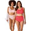 Comfort Choice Plus Size 5-Pack Tag-Free Full Coverage Cotton Brief(Stars and Stripes Pack)