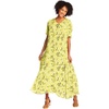 Primrose Yellow Leaf